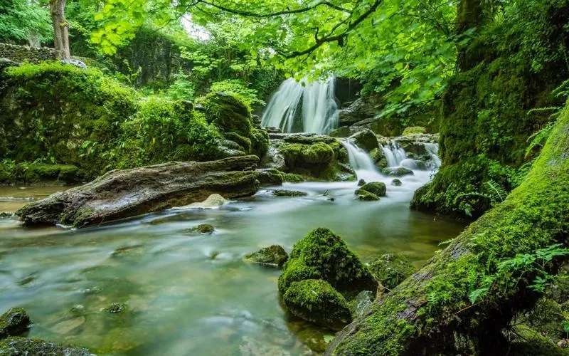 智慧智慧高性能